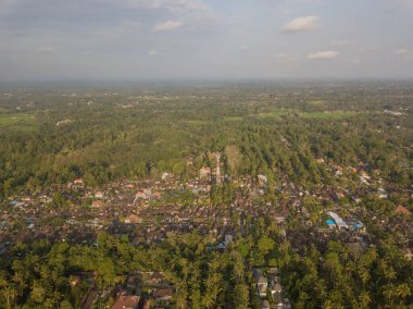 İHA 'nın Kuzey Kuta' ya, Badung Regency 'ye, Bali' ye ve Endonezya 'ya olan görüntüsü. Palmiye ağaçları arasında evler.