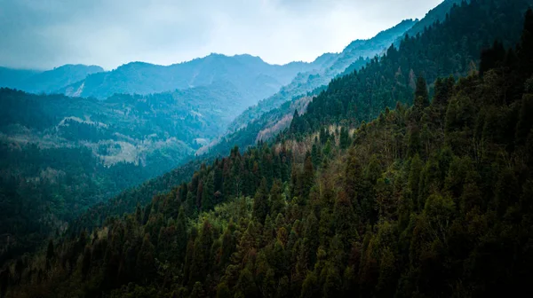 Bosque Montaña Durante Amanecer Niebla Suave Aire Montañas Xiling Sichuan — Foto de Stock