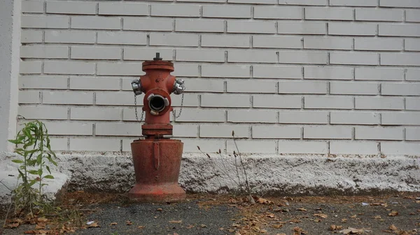 Požární Hydrant Proti Bílé Cihlové Zdi — Stock fotografie