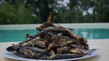 Mavi arka planda bir tabak ızgara sardalya.