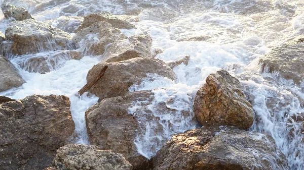 Rocas Contra Fondo Marino Salvaje — Foto de Stock