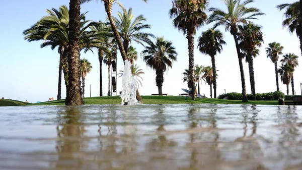 Wasserfontäne Vor Palmen Hintergrund — Stockfoto