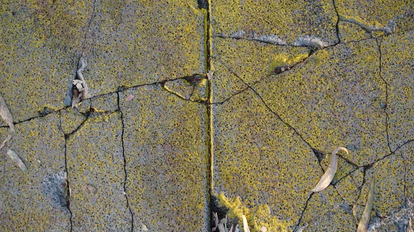 Rotto Pietra Gialla Sfondo Texture Astratta — Foto Stock