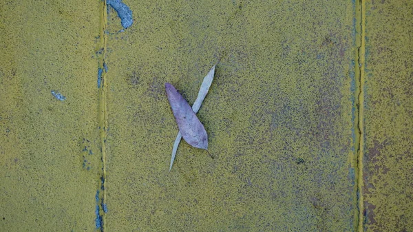 Artisticamente Rotto Sfondo Marciapiede Pietra Giallo — Foto Stock