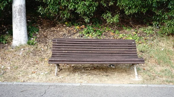 Empty Bench Park Green Background — Stock Photo, Image