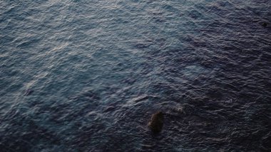 Deniz kıyısındaki kayalar