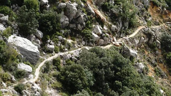 Bergpfad Vor Waldhintergrund — Stockfoto