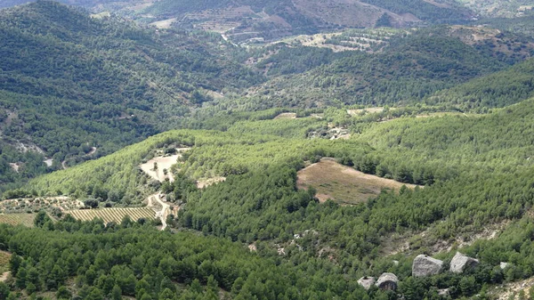 Blick Über Den Talwald — Stockfoto