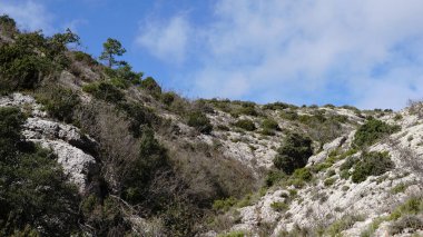 Biraz bitki örtüsü olan yarı çöl bölgesi.