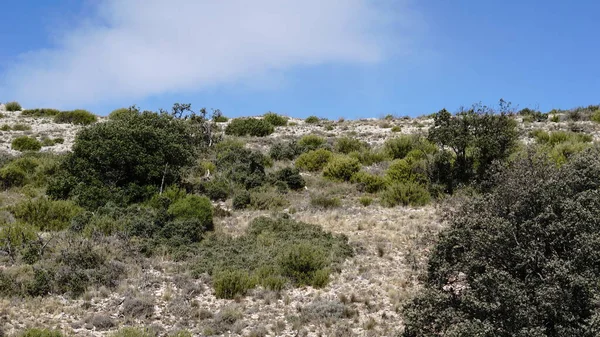 Paisaje Semidesértico Sobre Fondo Cielo —  Fotos de Stock