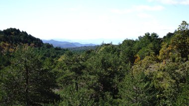 Vadideki dağlar ve ormanlar