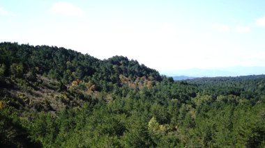 Vadideki dağlar ve ormanlar