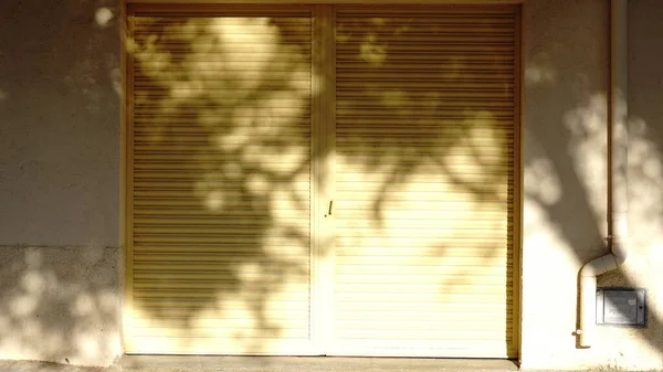 Sombra Árbol Contra Fondo Puerta — Foto de Stock