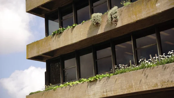 modern beton cephe bitkiler tarafından yumuşatıldı