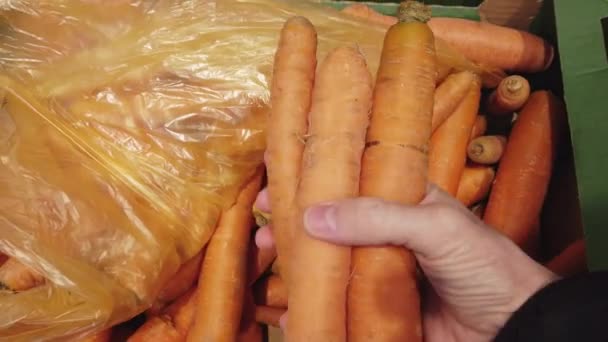 Ruce, které si vybírají mrkev v obchodě se zeleninou nebo na trhu. — Stock video