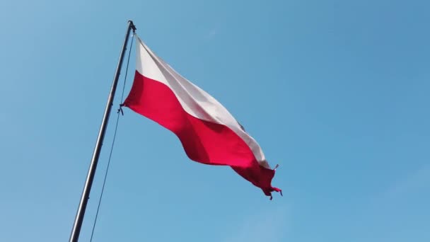 Polská vlajka, vítr a modrá obloha. — Stock video