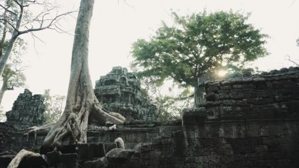 Ruínas do Templo de Abandono - Angkor Wat 4k — Vídeo de Stock