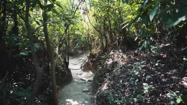 Sa belle nature. Mer, forêt. Vietnam, Asie — Video