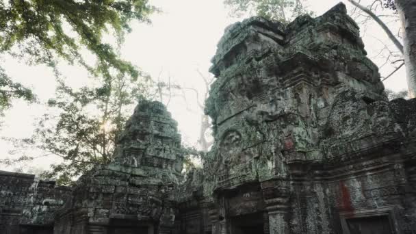 Ruínas do Templo de Abandono - Angkor Wat 4k — Vídeo de Stock