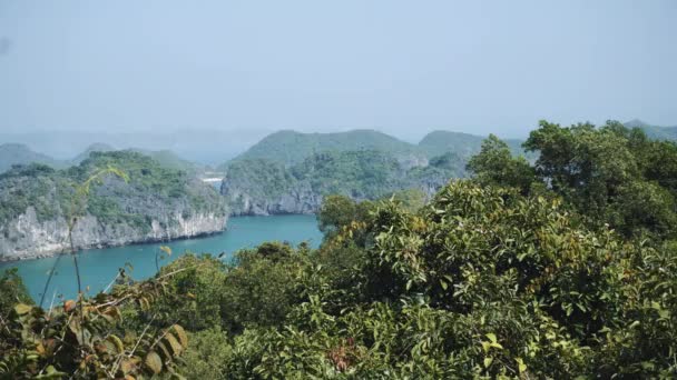 De prachtige natuur. Zee, bos. Vietnam, Azië — Stockvideo