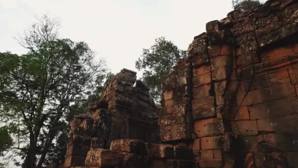 Ruínas do Templo de Abandono - Angkor Wat 4k — Vídeo de Stock