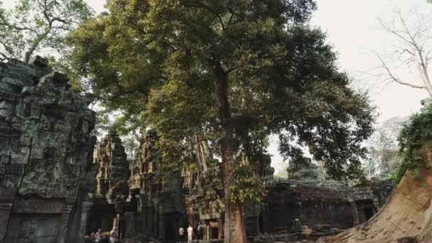 Ruínas do Templo de Abandono - Angkor Wat 4k — Vídeo de Stock