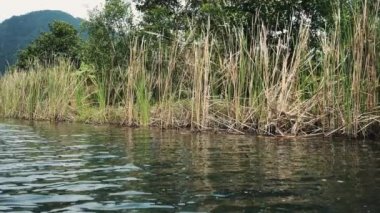 Vietnam 'ın Ninh Binh Bölgesi' ndeki Manzaralı Dağlar