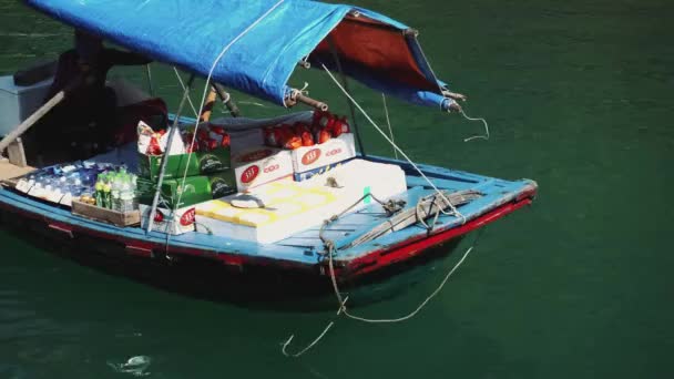 Malé lodě v Halong Bay. Cat Ba. Vietnam — Stock video