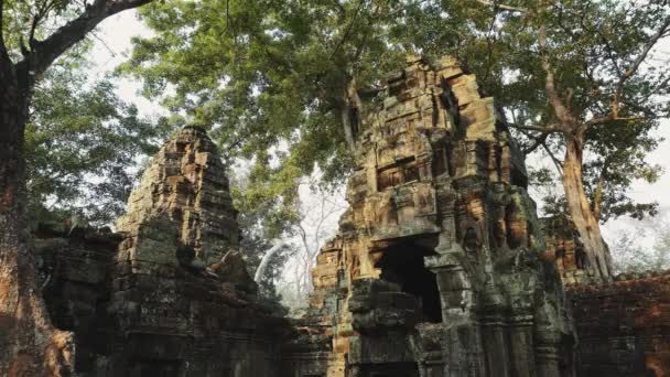 Ruinas del Templo del Abandono - Angkor Wat 4k — Vídeo de stock