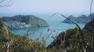 Güzel bir doğası var. Deniz, orman. Vietnam, Asya