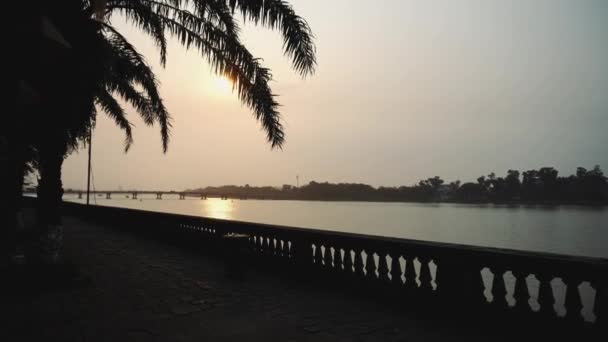 日落时的棕榈树和越南河 — 图库视频影像