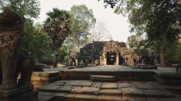 Руины заброшенного Фелле - Ангкор Ват 4к — стоковое видео