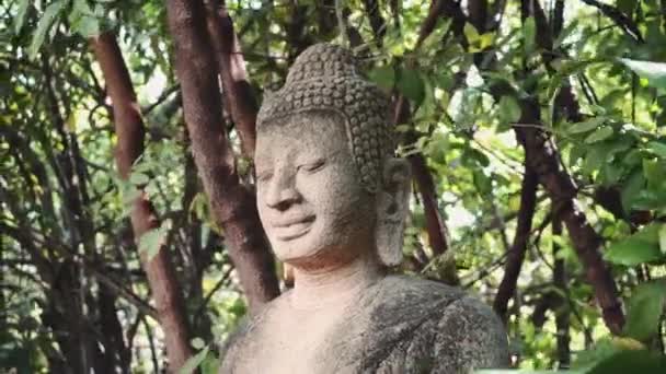 Estatua de piedra de Buda Phnom Penh, Camboya — Vídeos de Stock