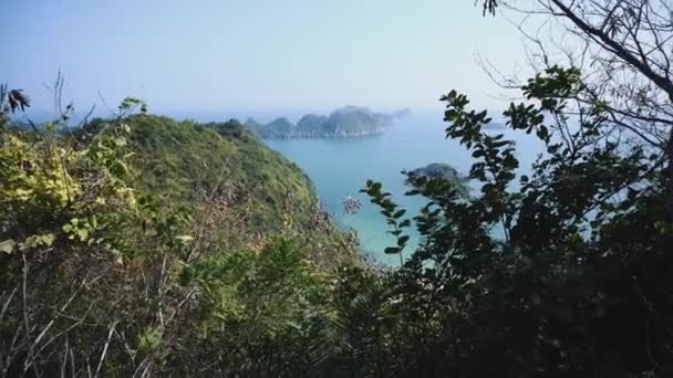 その美しい自然。海、森。ベトナム,アジア — ストック動画