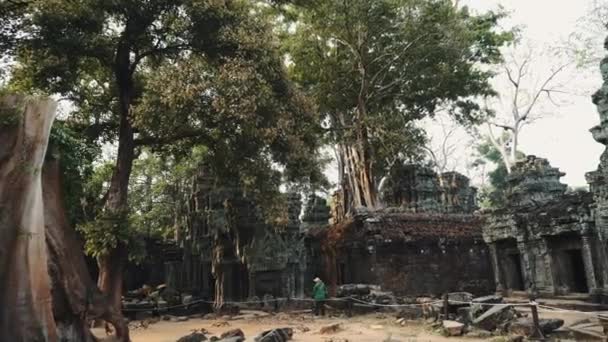 Ruínas do Templo de Abandono - Angkor Wat 4k — Vídeo de Stock