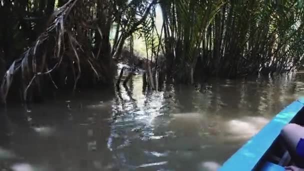 Mekongfloden i Vietnam, Sydostasien 4k — Stockvideo