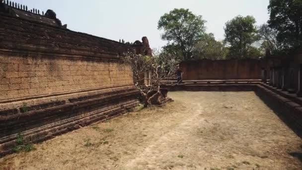 Siem Reap, Kamboja. Reruntuhan Kuil Abandon - Angkor Wat 4k — Stok Video