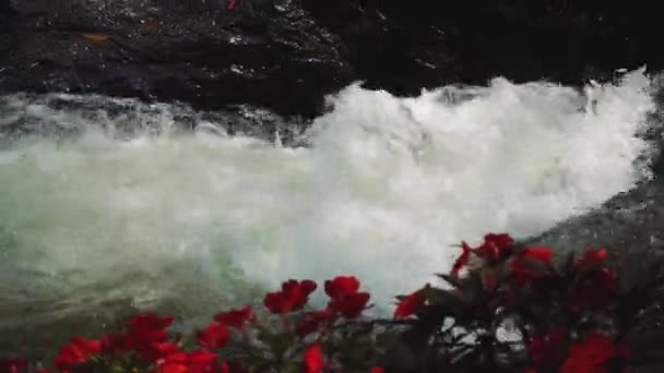 Belle cascade à Dalat, Vietnam — Video