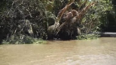 Vietnam 'daki Mekong Nehri, Güneydoğu Asya 4k
