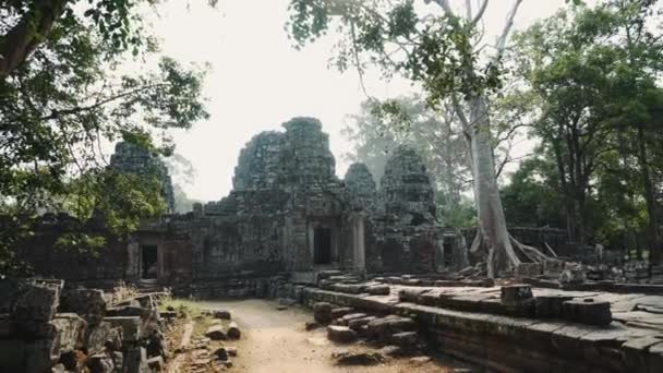 Ruinen des Tempels von Abandon - Angkor Wat 4k — Stockvideo