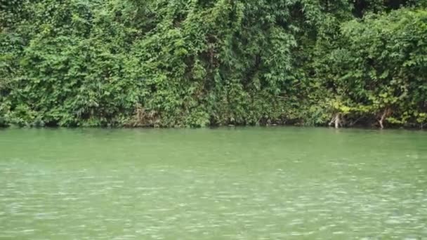 Vue sur le fleuve au Vietnam, Asie — Video