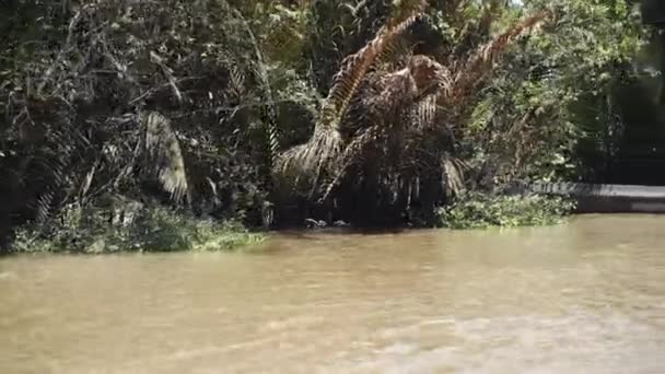 Mekong rivier in Vietnam, Zuidoost-Azië 4k — Stockvideo