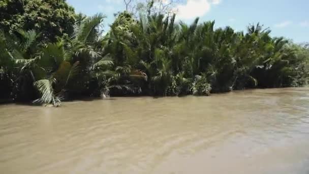 Mékong au Vietnam, Asie du Sud-Est 4k — Video