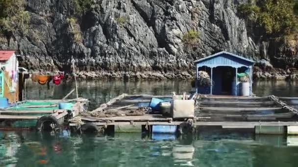 Flytande fiskeby i Ha Long Bay. Cat Ba Island, Vietnam. — Stockvideo