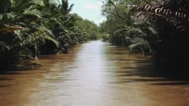 Vietnam 'daki Mekong Nehri, Güneydoğu Asya 4k