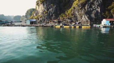 Ha Long Körfezi 'nde yüzen balıkçı köyü. Cat Ba Adası, Vietnam.