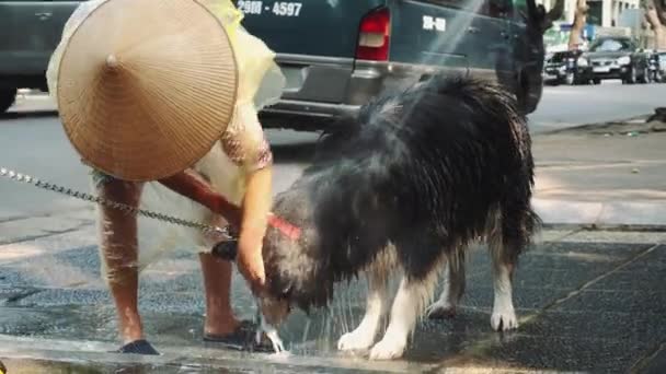 Shot της Ασίας γυναίκες πλύσιμο του σκύλου του στο δρόμο στο Ανόι, Βιετνάμ. — Αρχείο Βίντεο
