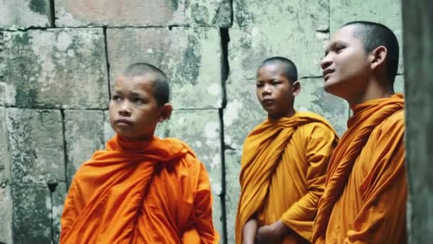 Jóvenes monjes budistas caminando en el templo con túnicas de azafrán y mirando hacia Angkor Wat. 4K — Vídeo de stock