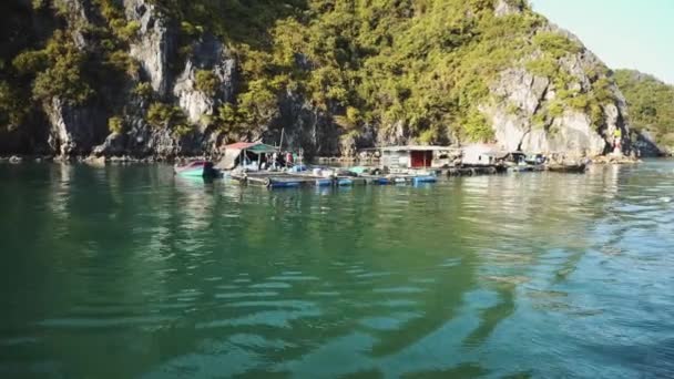 Ha Long Körfezi 'nde yüzen balıkçı köyü. Cat Ba Adası, Vietnam. — Stok video