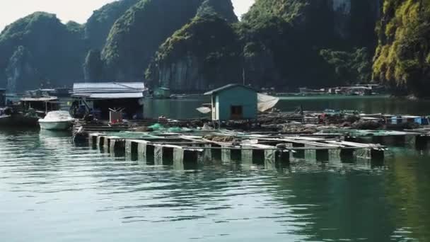 Ha Long Körfezi 'nde yüzen balıkçı köyü. Cat Ba Adası, Vietnam. — Stok video